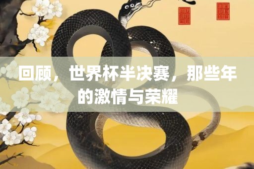 回顾，世界杯半决赛，那些年的激情与荣耀丹东日丰电子有限公司