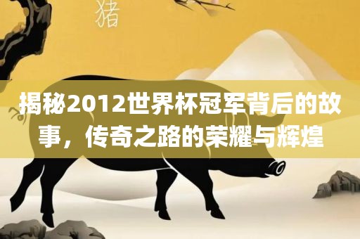揭秘2012世界杯冠军背后的故事，传奇之路的荣耀与辉煌丹东日丰电子有限公司
