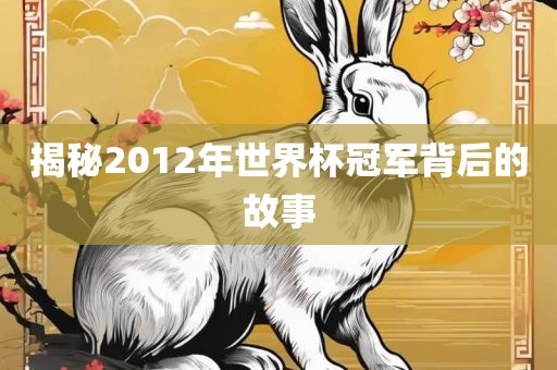 揭秘2012年世界杯冠军背后的故事丹东日丰电子有限公司
