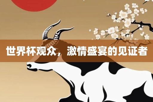 世界杯观众，激情盛宴的见证者