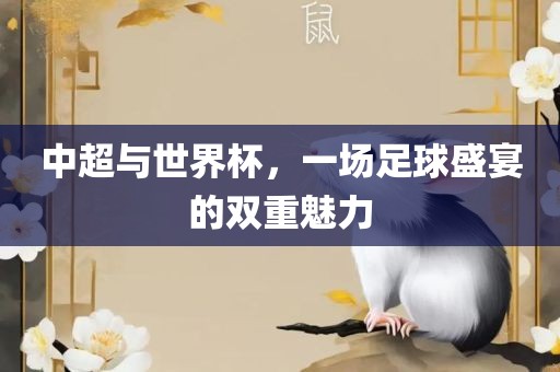 中超与世界杯，一场足球盛宴的双重魅力丹东日丰电子有限公司