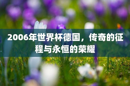 2006年世界杯德国，传奇的征程与永恒的荣耀丹东日丰电子有限公司