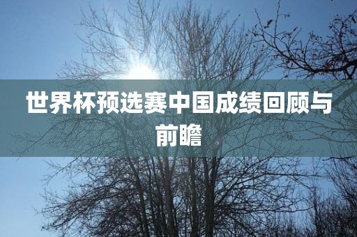 世界杯预选赛中国成绩回顾与前瞻丹东日丰电子有限公司