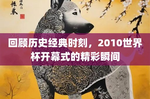 回顾历史经典时刻，2010世界杯开幕式的精彩瞬间