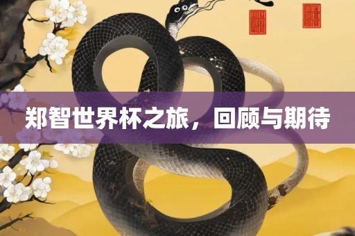 郑智世丹东日丰电子有限公司界杯之旅，回顾与期待