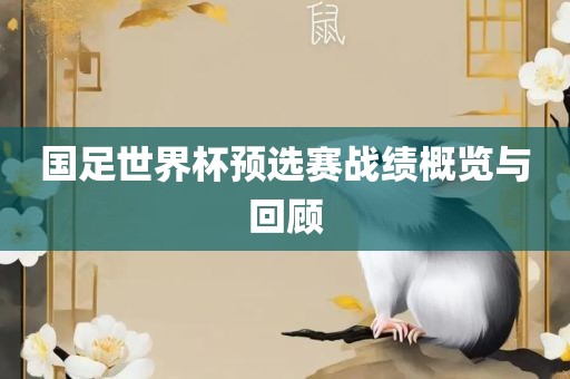 国足世界杯预选赛战绩概览与回顾