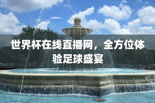 世界杯在线直播网，全方位体验足球盛宴