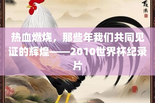 热血燃烧，那些年我们共同见证的辉煌——2010世界杯纪录片丹东日丰电子有限公司