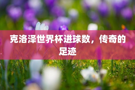 克洛泽世界杯进球数，传奇的足迹