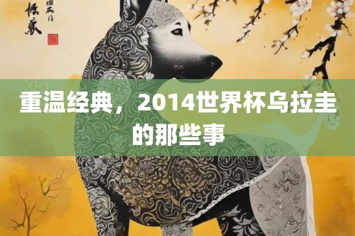重温经典，2014世界杯乌拉圭的那些事丹东日丰电子有限公司
