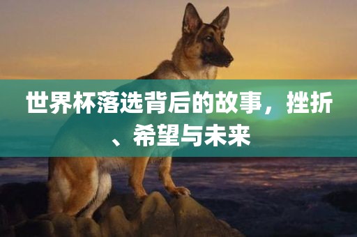 世界杯落选背后的故事，挫折、希望与未来丹东日丰电子有限公司