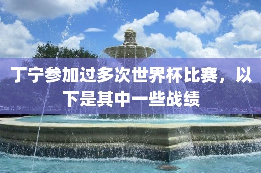 丁宁参加过多次世界杯比赛，以下是其中一些战绩丹东日丰电子有限公司