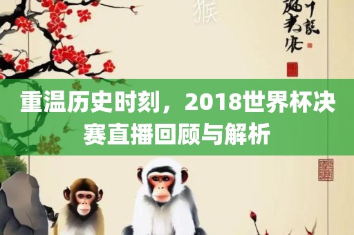 重温历史时刻，2018世界杯决赛直播回顾与解析丹东日丰电子有限公司