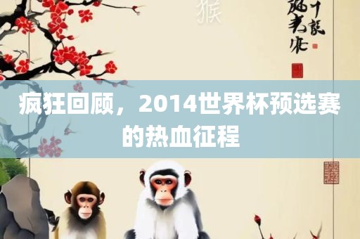 疯狂回顾，2014世界杯预选赛的热血征程