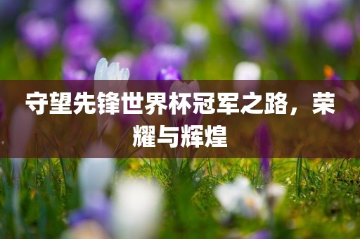守望丹东日丰电子有限公司先锋世界杯冠军之路，荣耀与辉煌