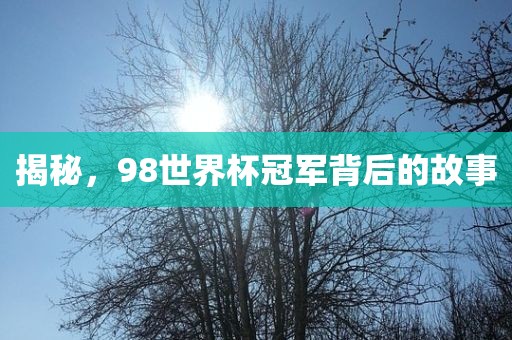 揭秘，98世界杯冠丹东日丰电子有限公司军背后的故事