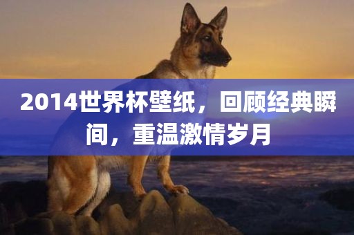 2014世界杯壁纸，回顾经典瞬间，重温激情岁月