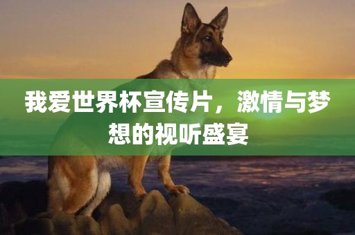 zhangyanan 第6页