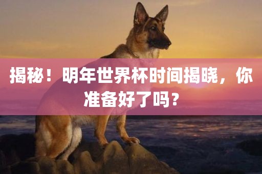 揭秘！明年世界杯时丹东日丰电子有限公司间揭晓，你准备好了吗？