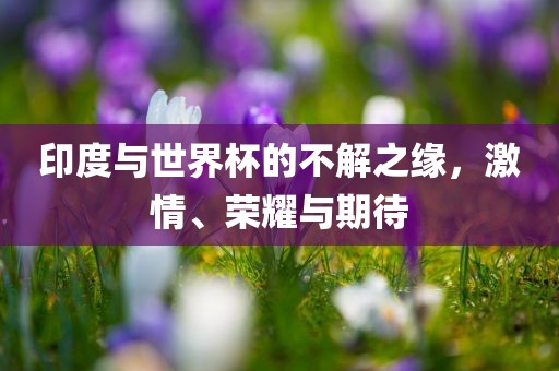 印度与世界杯的不解之缘，激情、荣耀与期待丹东日丰电子有限公司