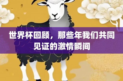 世界杯回顾，那些年我们共同见证的激情瞬间