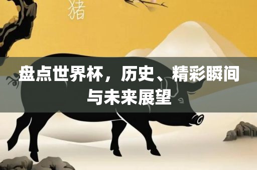盘点世界杯，历史、精彩瞬间丹东日丰电子有限公司与未来展望
