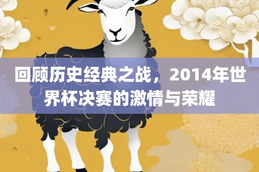 回顾历史经典之战，2014年世界杯决赛的激情与荣耀
