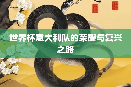 世界杯意大利队的荣耀与复兴之路