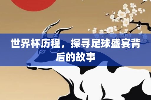 世界杯历程，探寻足球盛宴背后的故事丹东日丰电子有限公司