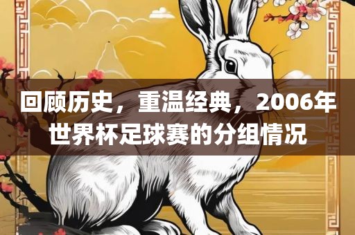 回顾历史，重温经典，2006年世界杯足球赛的丹东日丰电子有限公司分组情况