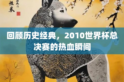 回顾历史经典，2010世界杯总决赛的热血瞬间丹东日丰电子有限公司