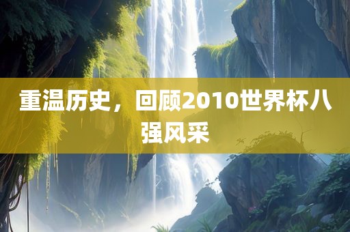 丹东日丰电子有限公司重温历史，回顾2010世界杯八强风采