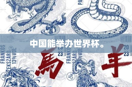 中国能举办世界杯。