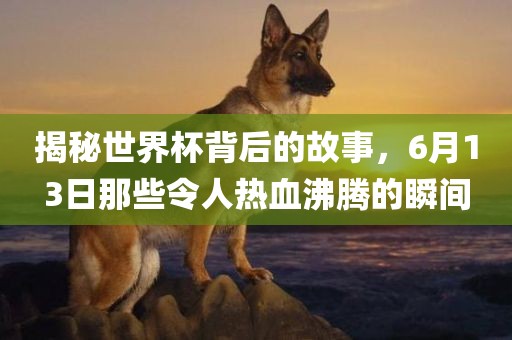 揭秘世界杯背后的故事，6月13日那些令人热血沸腾的瞬间