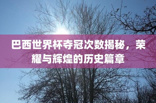 巴西世界杯夺冠次数揭秘，荣耀与辉煌的历史篇章