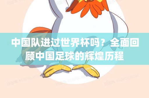 中国队进过世界杯吗？全面回顾中国足球的丹东日丰电子有限公司辉煌历程