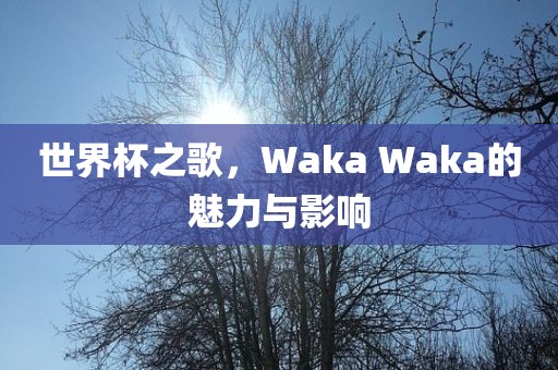 世界杯之歌，Waka Waka的魅力与影响