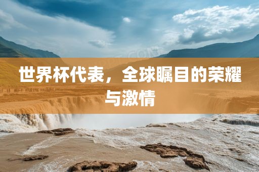 世界杯代表，全球瞩目的荣耀与激情