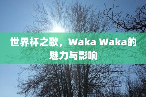 世界杯之歌，W丹东日丰电子有限公司aka Waka的魅力与影响