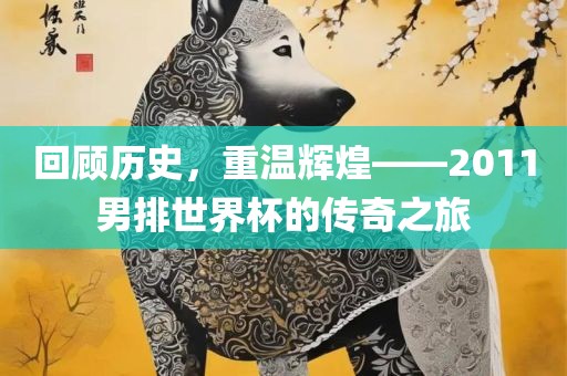 回顾历史，重温辉煌——2011男排世界杯的传奇之旅丹东日丰电子有限公司