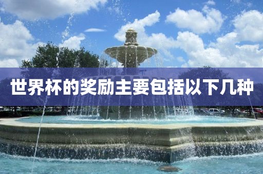 世界杯的奖励主要包括以下几种丹东日丰电子有限公司