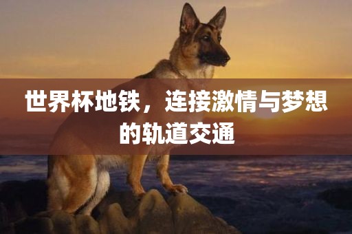 世界杯地铁丹东日丰电子有限公司，连接激情与梦想的轨道交通