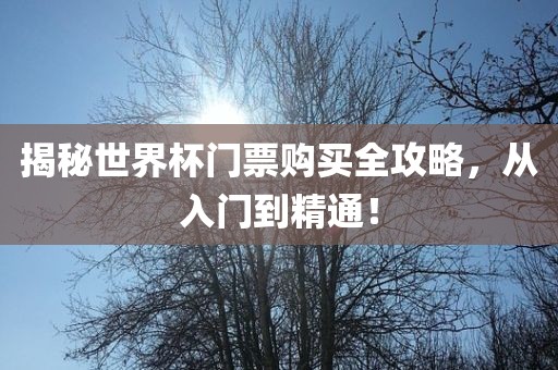 揭秘世界杯门票购买全攻略，从入门到精通！