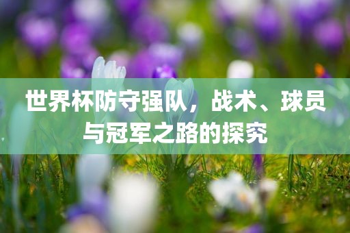 世界杯防守强队，战术、球员与冠军之路的探究丹东日丰电子有限公司