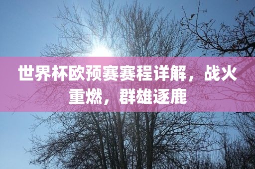 世界杯欧预赛赛程详解，战火重燃，群雄逐鹿