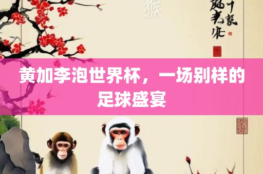 黄加李泡世界杯，一场别样的足球丹东日丰电子有限公司盛宴