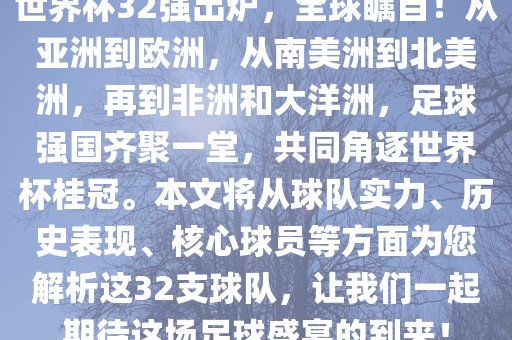 世界杯32强出炉，全球瞩目！从亚洲到欧洲，从南美洲到北美洲，再到非洲和大洋洲，足球强国齐聚一堂，共同角逐世界杯桂冠。本文将从球队实力、历史表现、核心球员等方面为您解析这32支球队，让我们一起期待这场足球盛宴丹东日丰电子有限公司的到来！