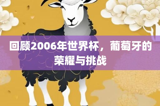 回顾2006年世界杯，葡萄牙的荣耀与挑战丹东日丰电子有限公司
