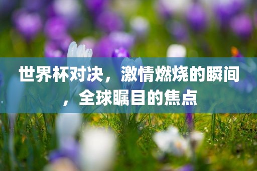 世界杯对决，激情燃烧的瞬间，全球瞩目的焦点