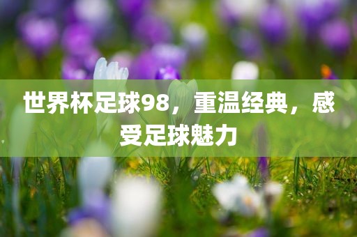 世界杯足球98，重温经典，感受足球魅力丹东日丰电子有限公司